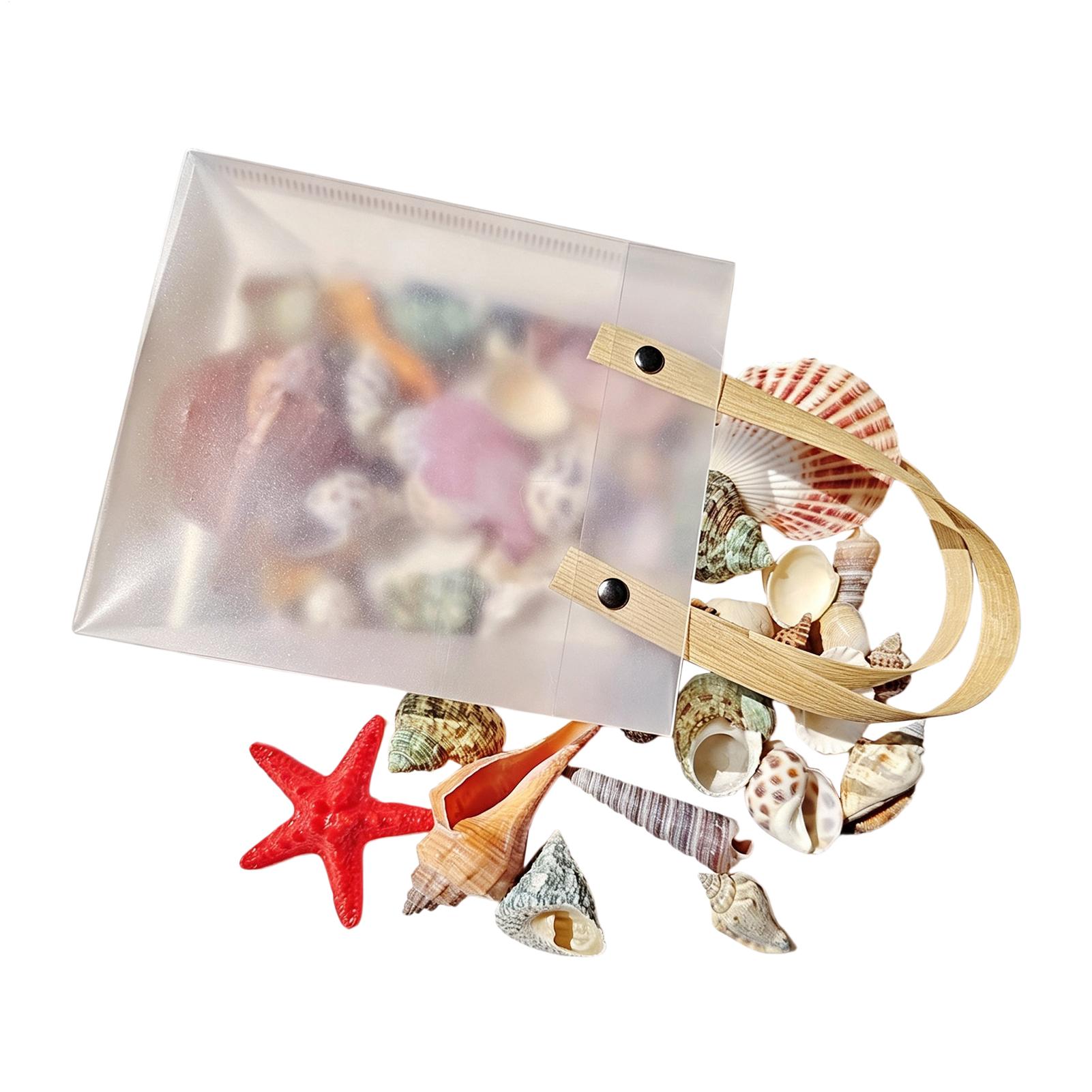 Tiny Seashells for Crafts Natu - Candle Making For Beginners recension och pris